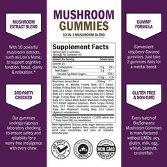 Illustration of mushroom blend: Lions Mane, Turkey Tail, Cordyceps