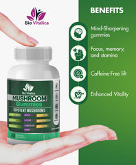 Ingredients list showing 10 mushrooms including Lion’s Mane and Reishi