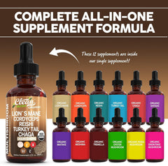 Reishi, Chaga, and Shiitake mushrooms included in the supplement blend