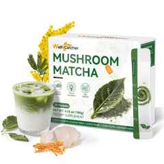 Organic ceremonial-grade mushroom matcha powder with Lion’s Mane and Cordyceps