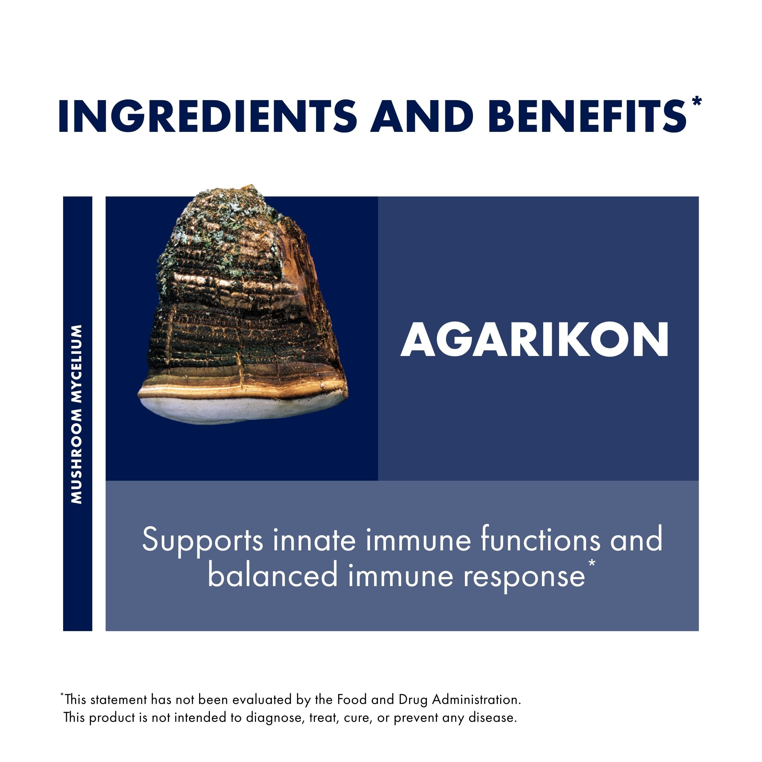 Illustration showing mushroom mycelium health benefits