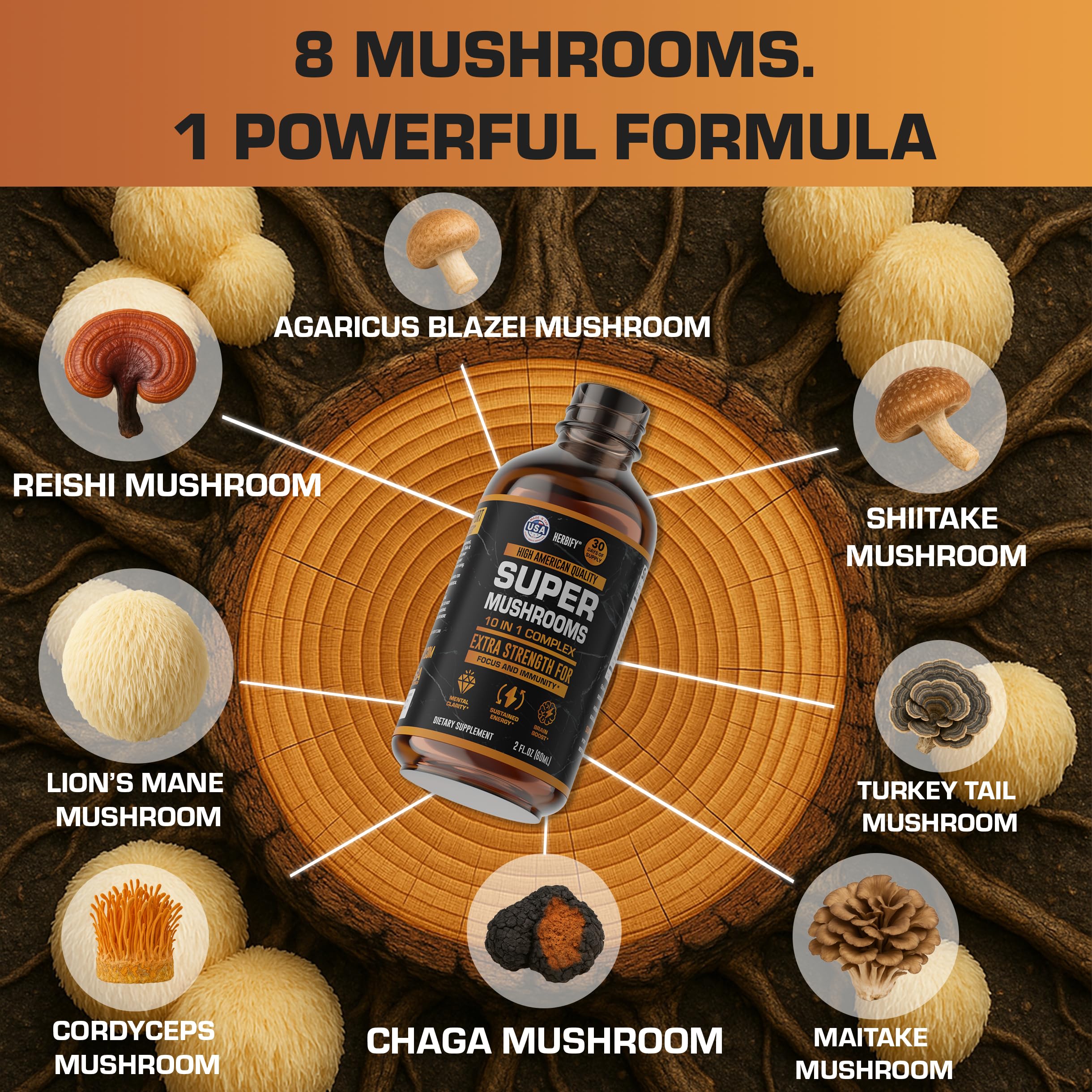 Close-up of multi-mushroom complex ingredients