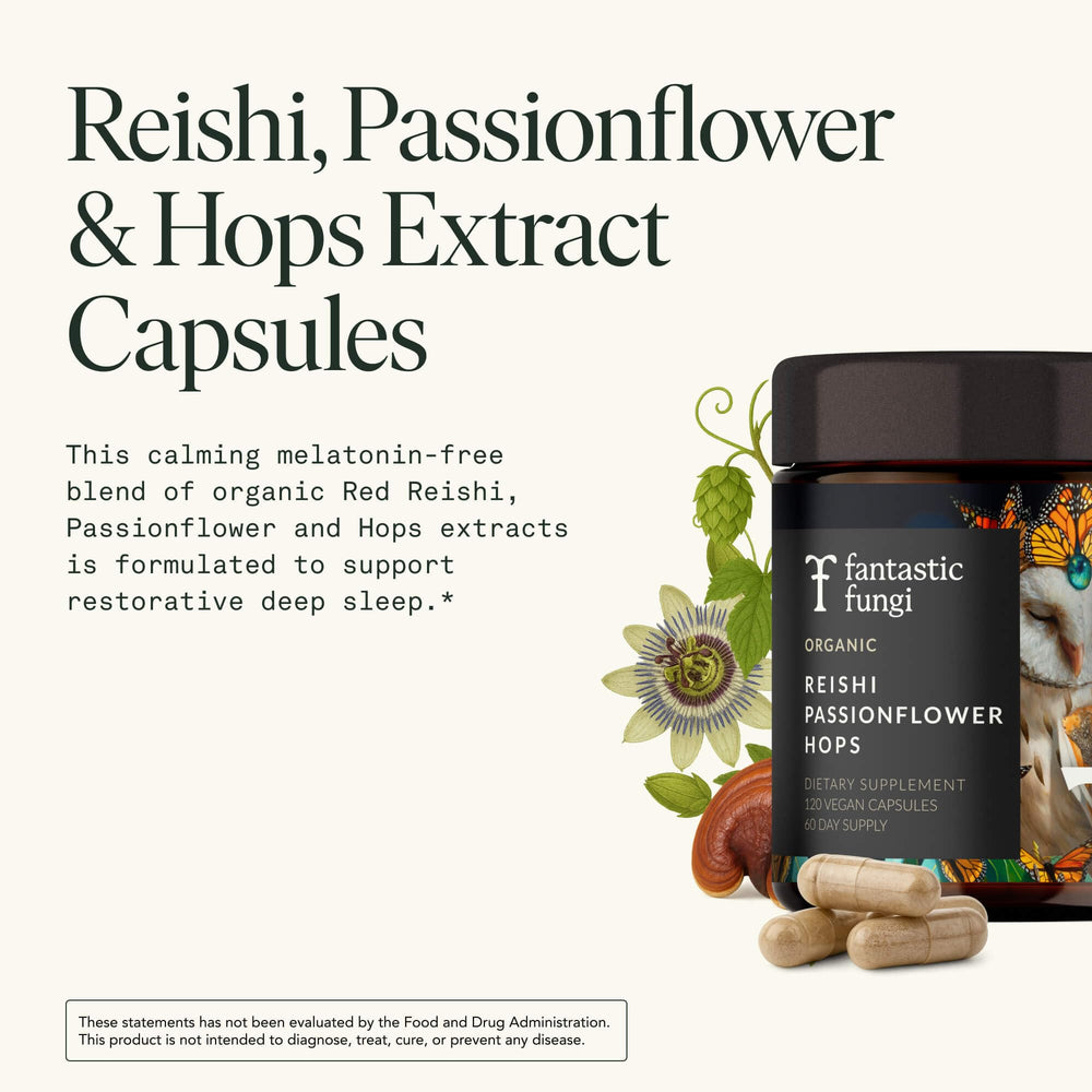 Close-up of 10:1 fruiting body extracts