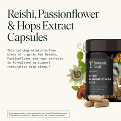 Close-up of 10:1 fruiting body extracts