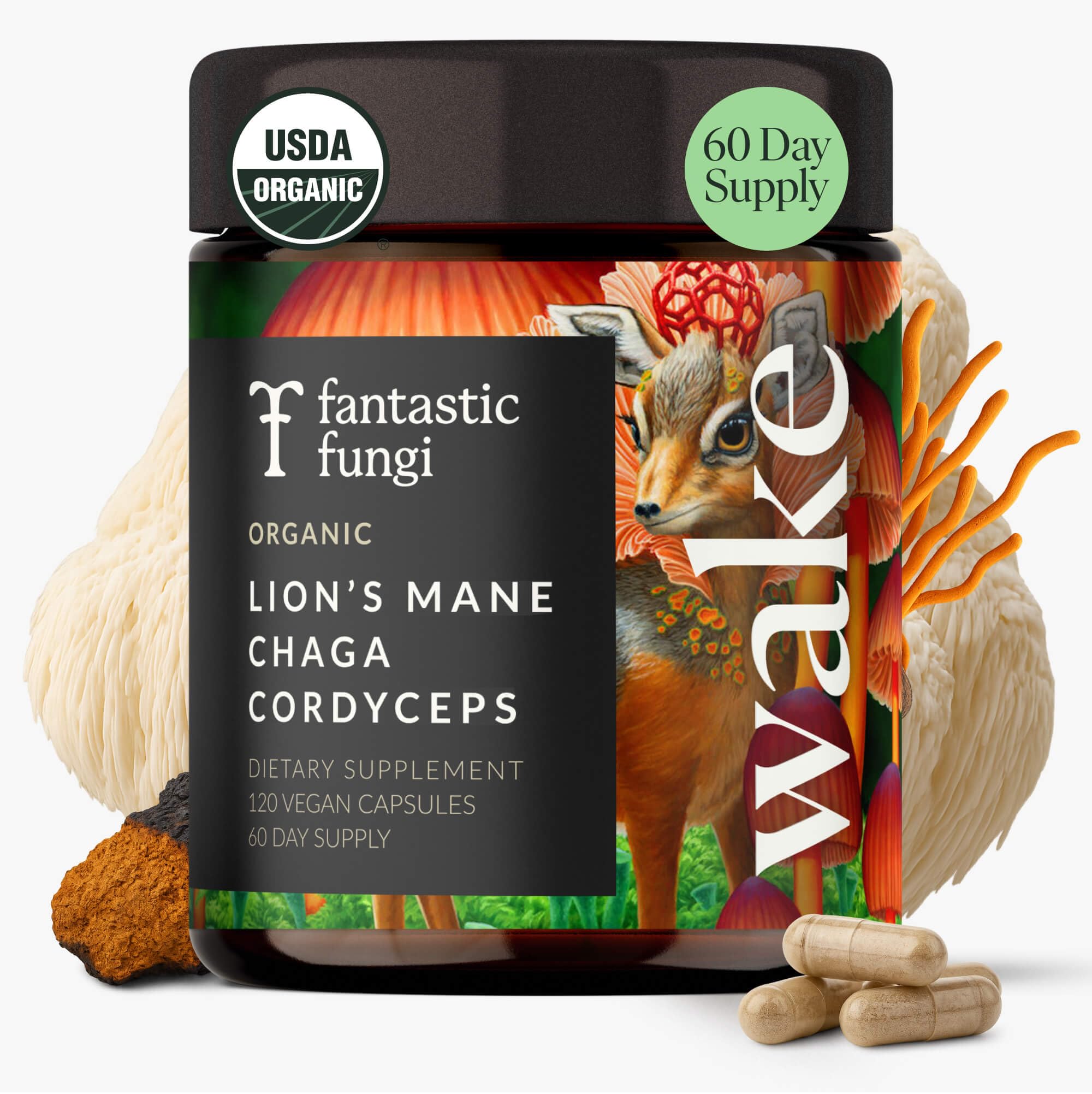 Mushroom supplement featuring Lions Mane, Chaga and Cordyceps in 120 capsules