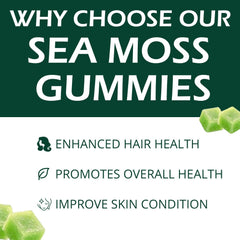 MVC ingredients layout including sea moss and black seed oil for transparency