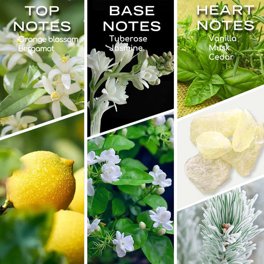Diffuser oil blend featuring Lemon, Tuberose and Vanilla