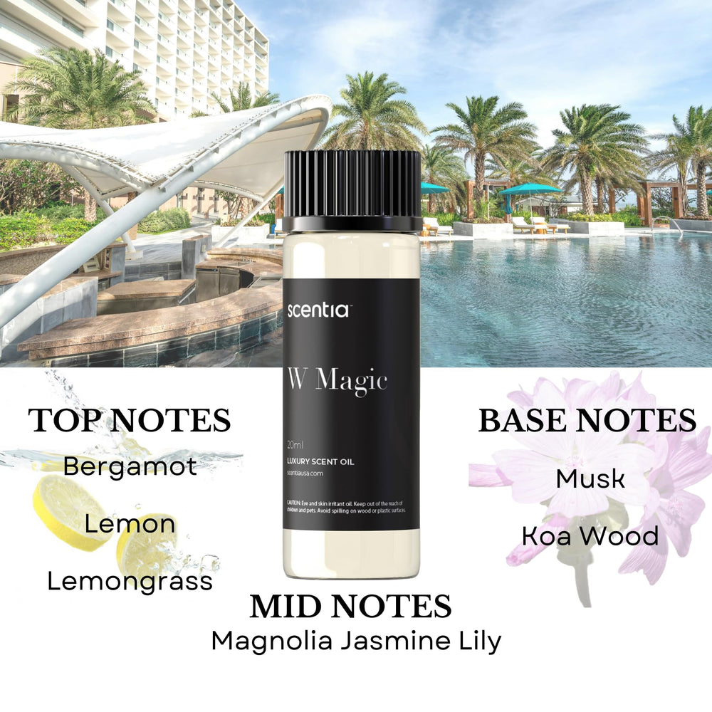 Dream Walk fragrance bottle featuring white tea, vanilla, aloe, and lily notes.