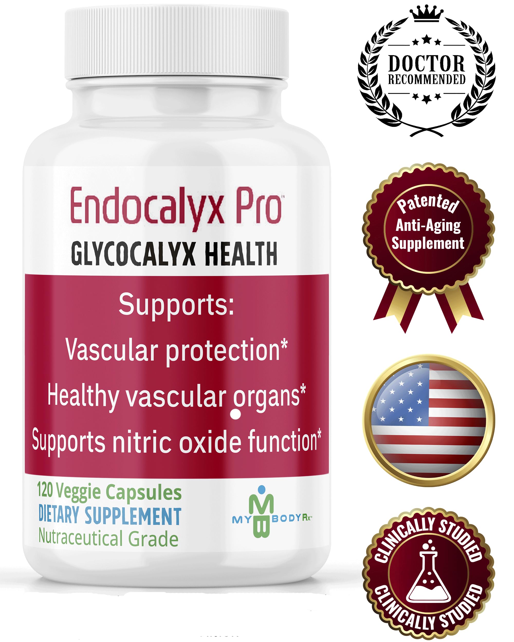 Graphic illustrating endothelial glycocalyx and vascular health