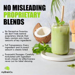 Illustration of brain, energy, and longevity benefits from myBrainCo Greens