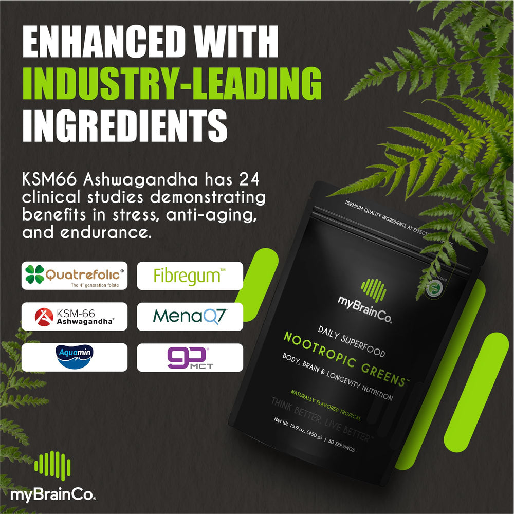 Gluten-free, FODMAP-certified vegan powder from myBrainCo Nootropic Greens
