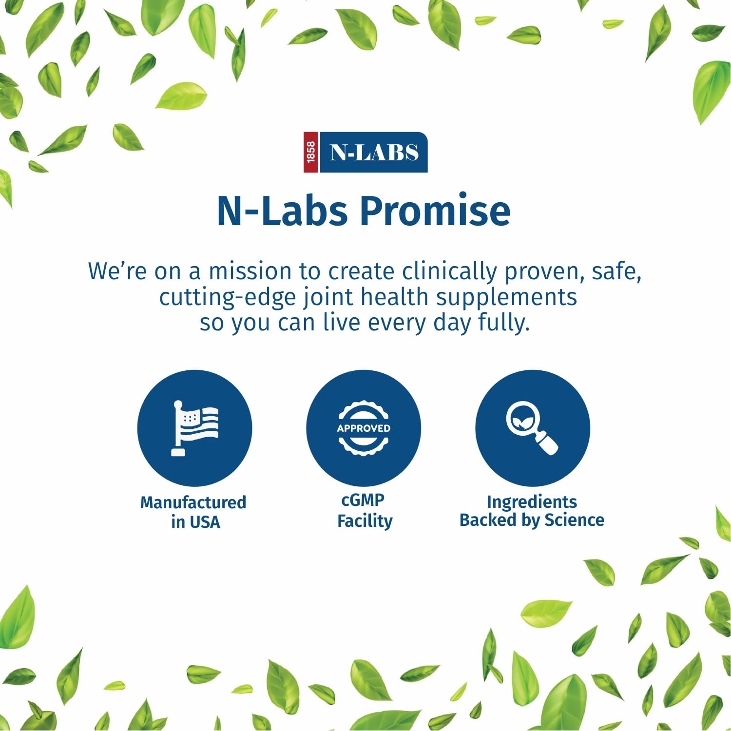 N-Labs ExaFlex packaging highlighting boswellia, turmeric and quercetin