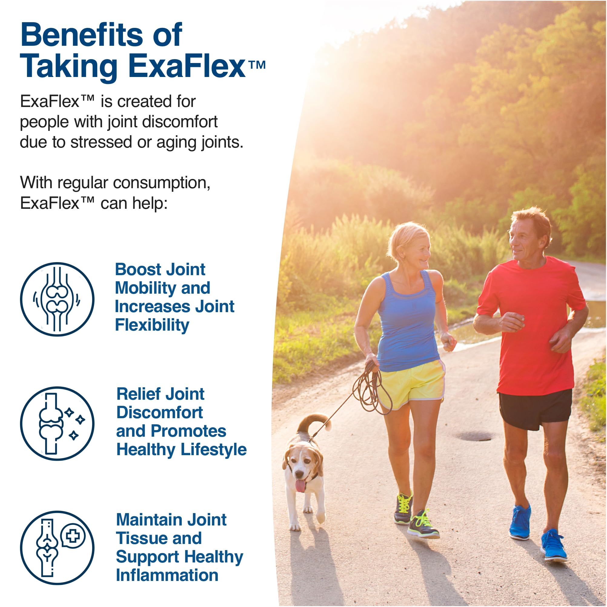 Ingredients: glucosamine, chondroitin, MSM, bromelain, boswellia, turmeric, quercetin