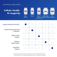 NAC liver detox and support visualization