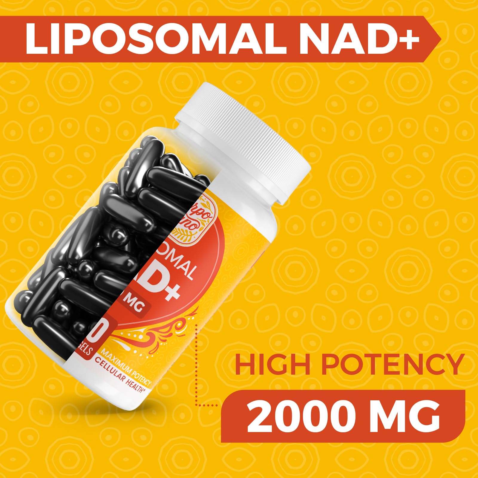 NAD+ supplement bioavailability illustration