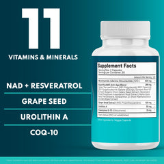 All-in-one antioxidant formula illustration