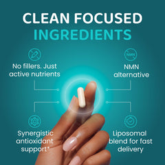 Liposomal delivery system graphic