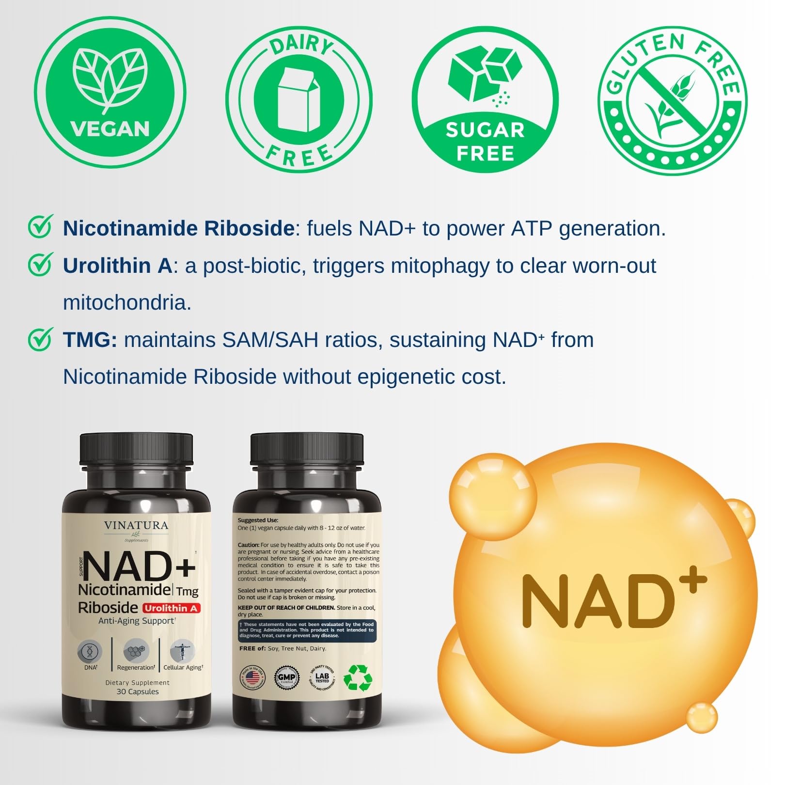 Illustration of Nicotinamide Riboside, Resveratrol, Urolithin A, TMG and Quercetin
