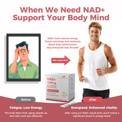 NR, Resveratrol, and PQQ ingredients in NAD+ formula