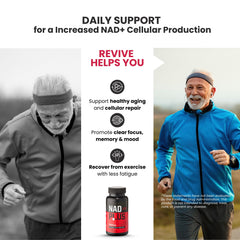 GMP-certified manufacturing label associated with NAD PLUS REVIVE