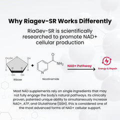 Vegan, non-GMO, and gluten-free badges on NAD PLUS REVIVE packaging