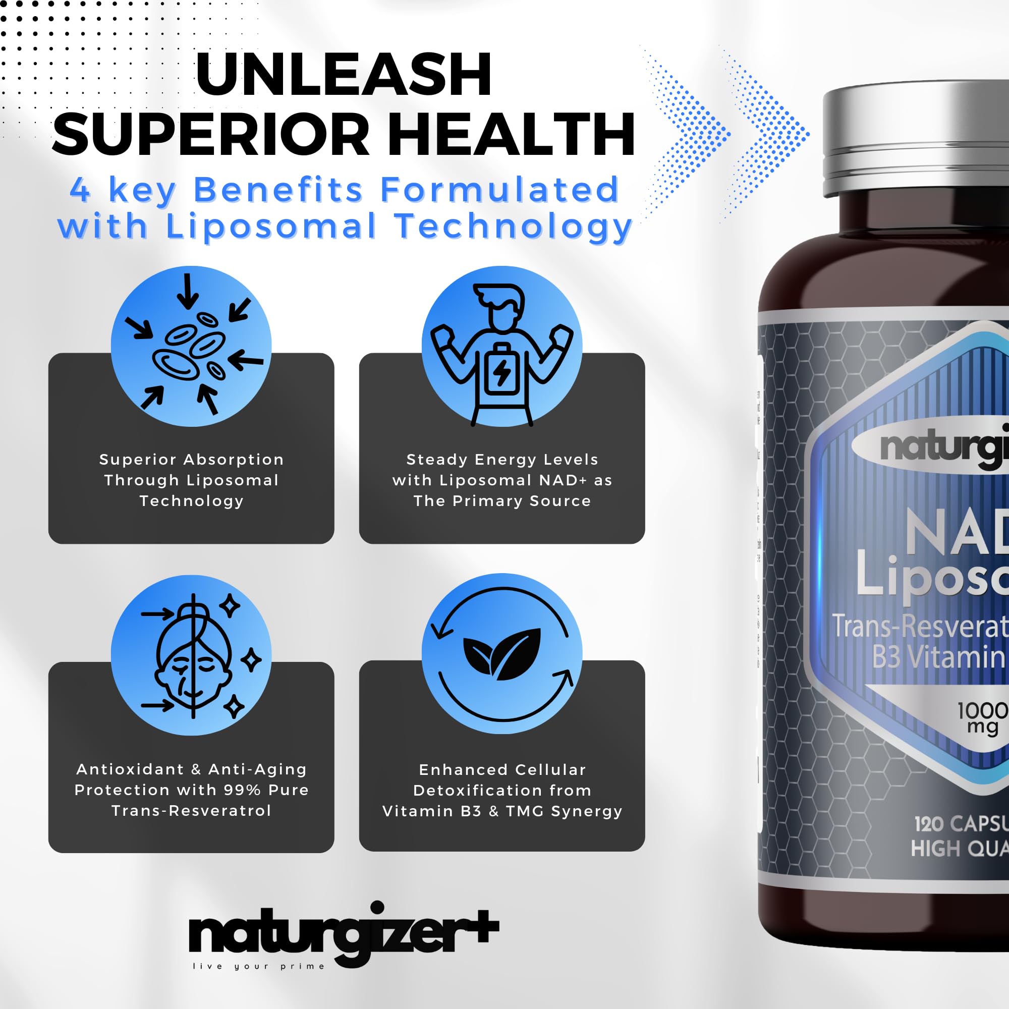 Antioxidants protecting cells from oxidative damage