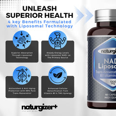 Antioxidants protecting cells from oxidative damage
