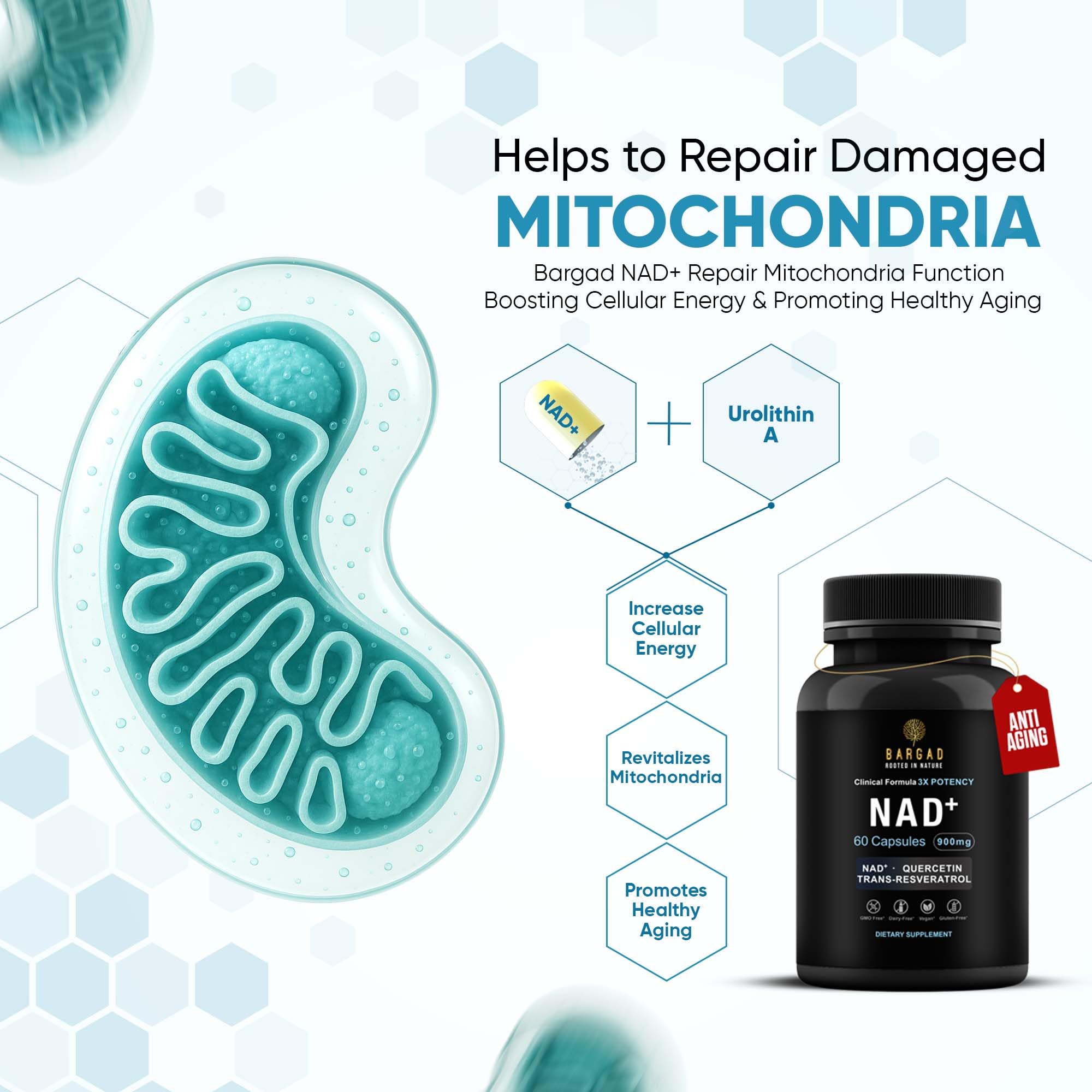 Close-up of liposomal NAD formula illustration