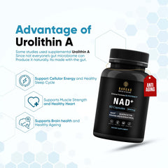 NMN alternative NAD+ supplement packaging with branding