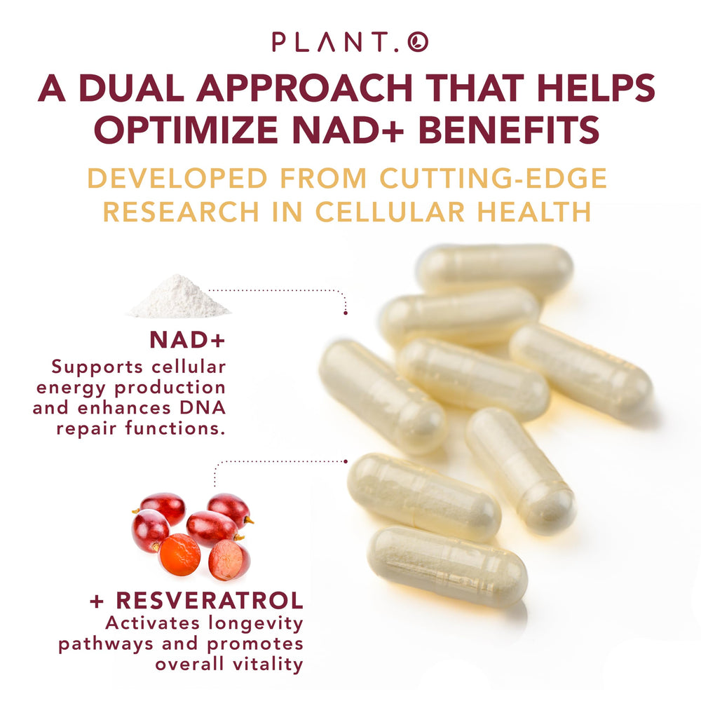 NAD supplement bottle showing USA GMP facility stamp and quality claim