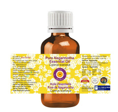 Nagarmotha essential oil 5ml amber glass bottle close-up