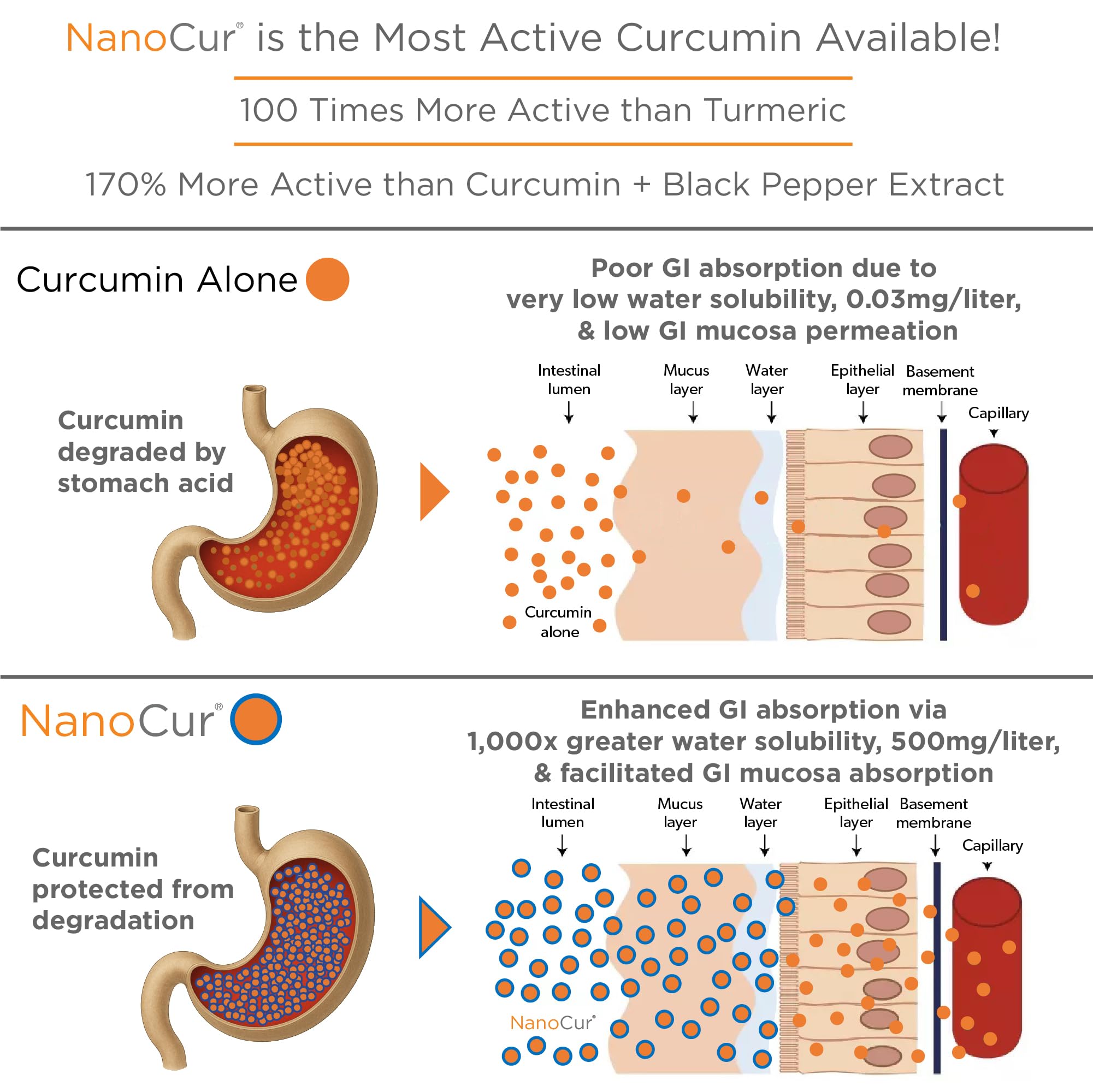 Plant-based carrier delivering organic curcumin