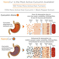 Plant-based carrier delivering organic curcumin
