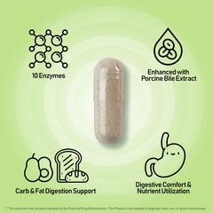 Amylase enzyme from Aspergillus oryzae highlighted for carbohydrate digestion