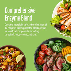 Porcine Bile Extract component in Nanowell Enzyme Premium S