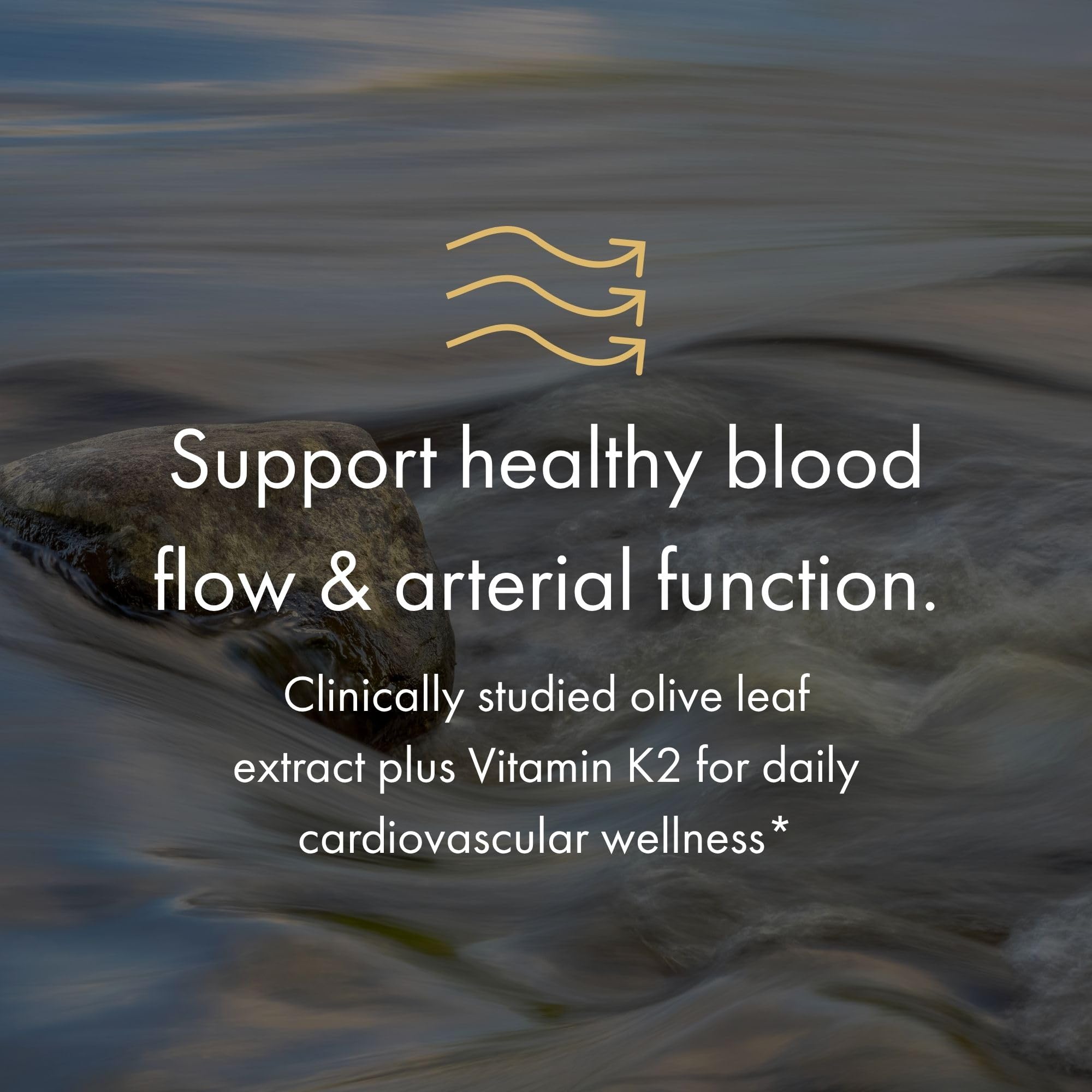 Illustration of 1000mg Benolea olive leaf extract used in NAOMI BP Advanced