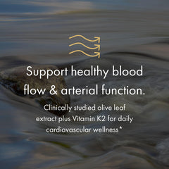 Illustration of 1000mg Benolea olive leaf extract used in NAOMI BP Advanced