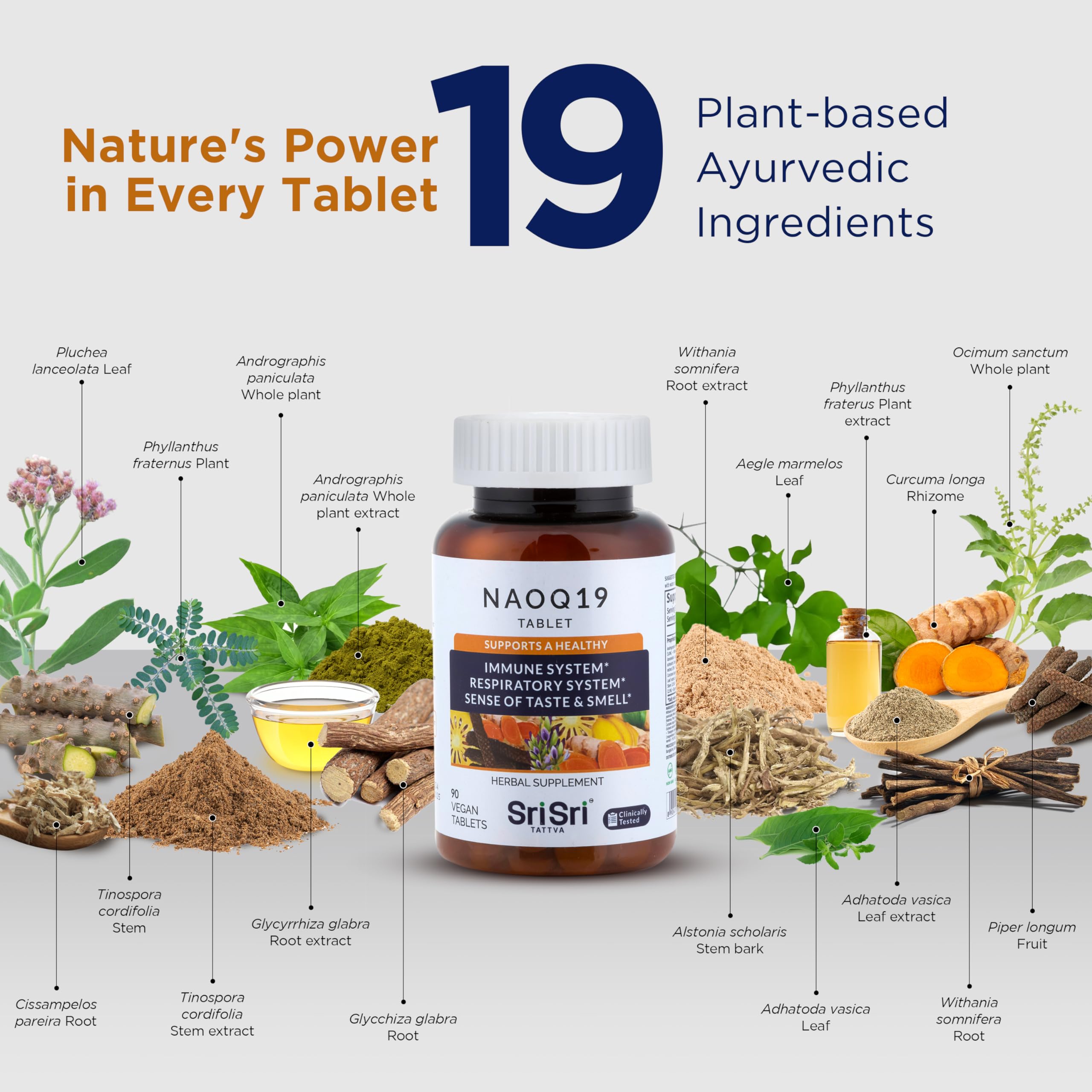 Illustration showing the 19 Ayurvedic herbs in NAOQ19 formula
