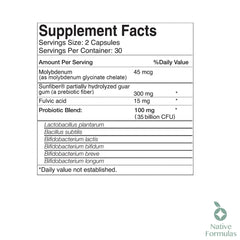 Fulvic mineral blend in Biome V3 for cellular energy