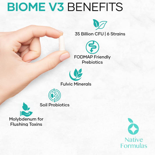 Biome V3 probiotic with 6 distinct strains for digestive and immune support