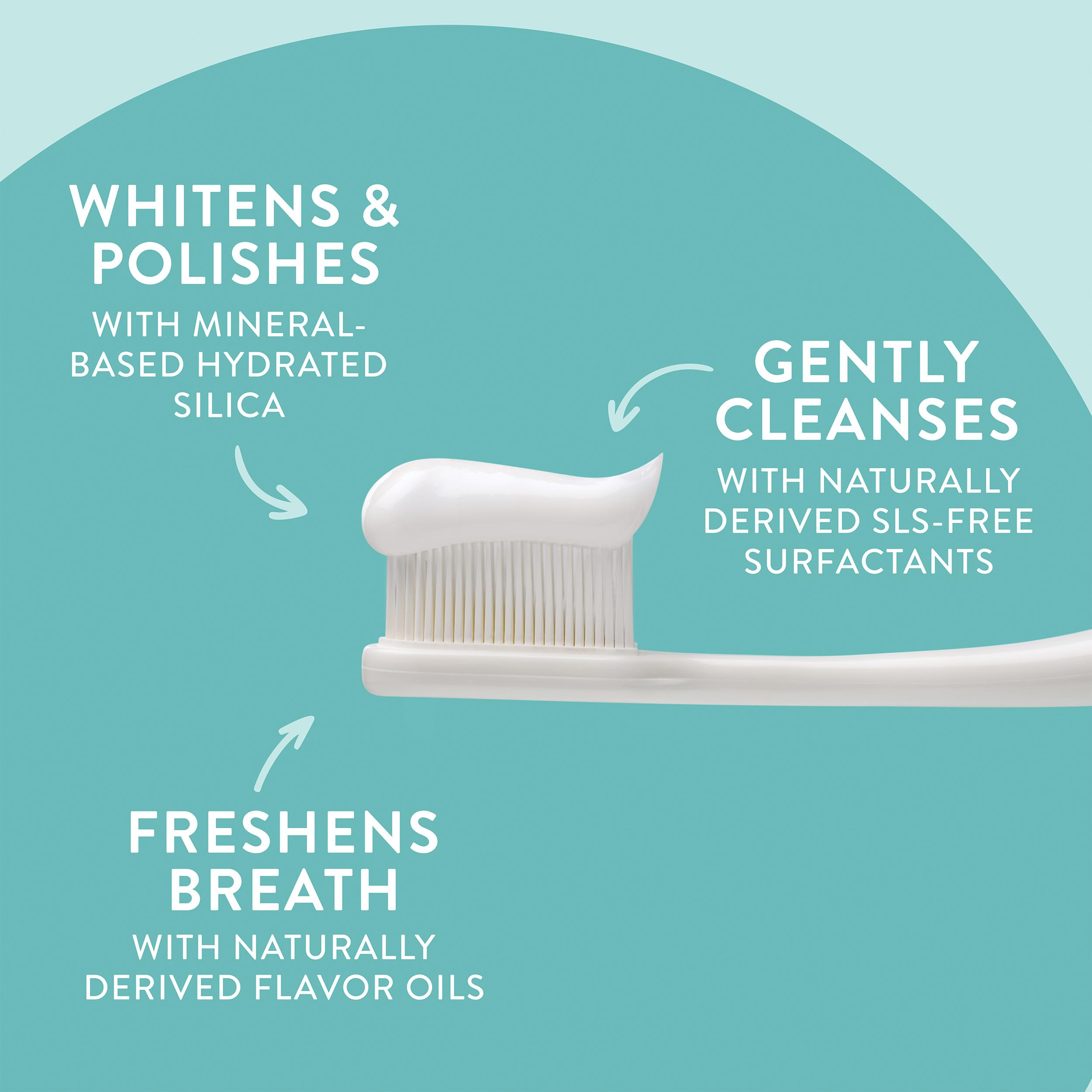 Wild Mint and Peppermint Oil flavor label on toothpaste packaging