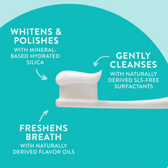 Wild Mint and Peppermint Oil flavor label on toothpaste packaging