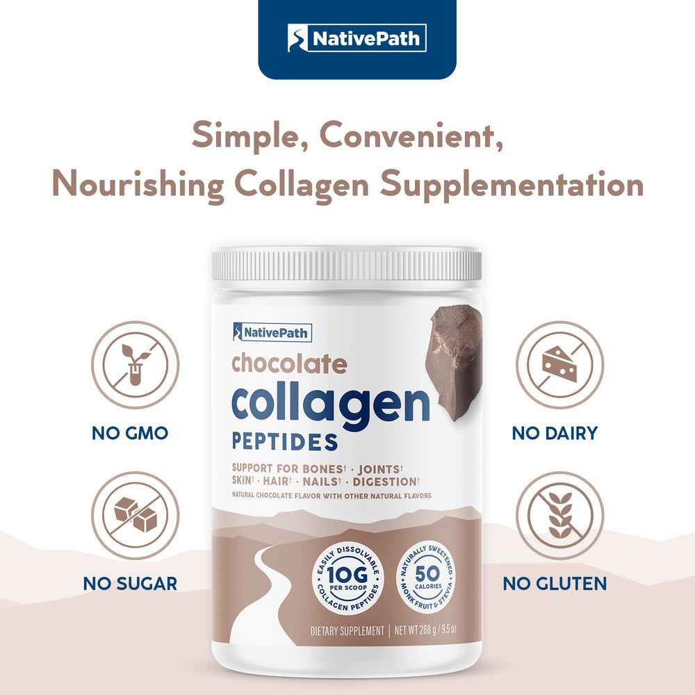 Hot chocolate made with NativePath Collagen Peptides Chocolate