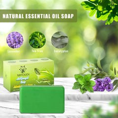 Natouch antifungal soap bar lathers into rich foam for post-workout cleansing.