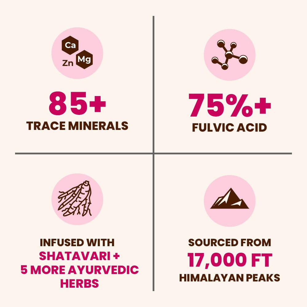 Himalayan Shilajit resin (300 mg) used in Natruveda Shilajit Honey Sticks for Women