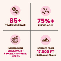Himalayan Shilajit resin (300 mg) used in Natruveda Shilajit Honey Sticks for Women