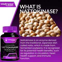 Non-GMO and gluten-free nattokinase capsules