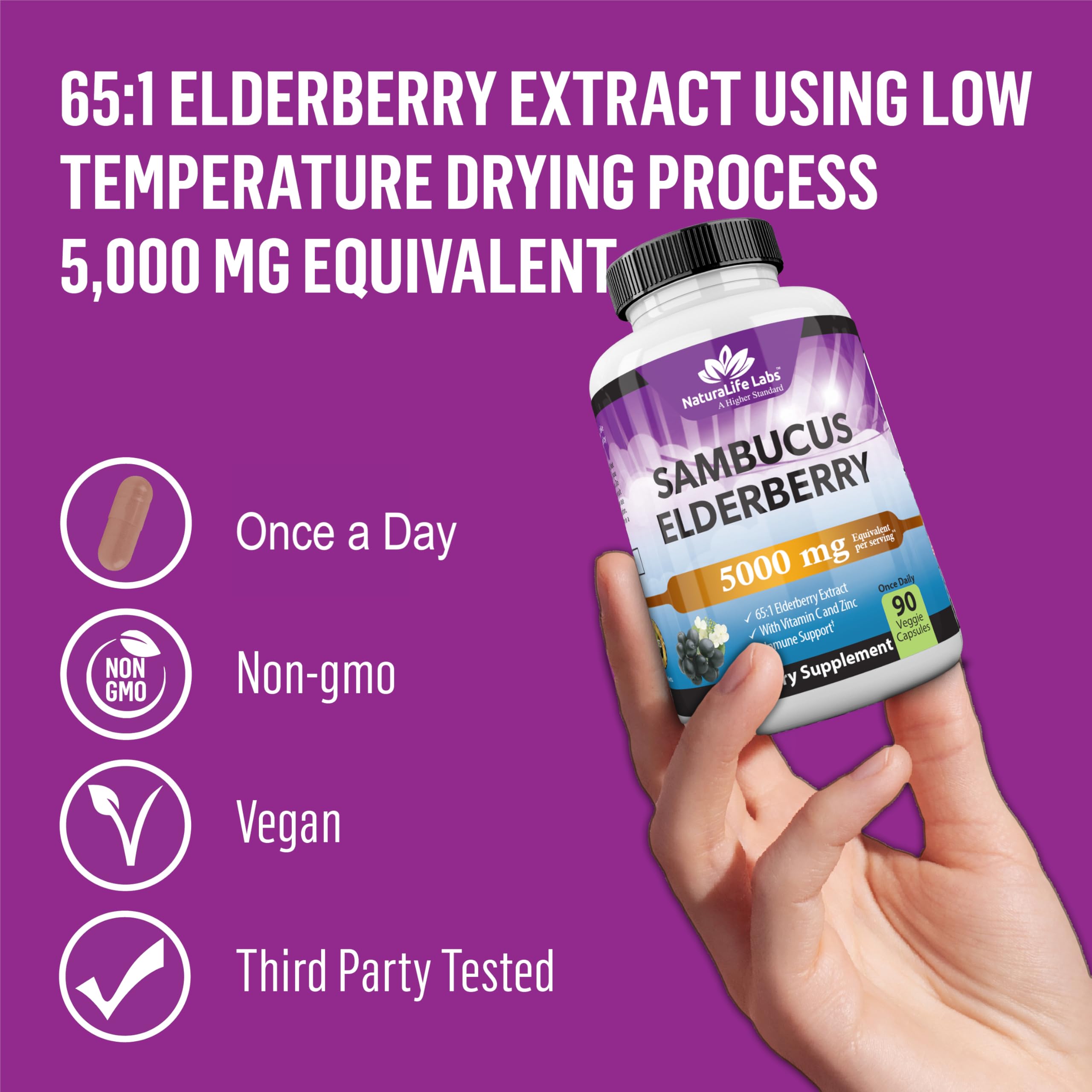 Vitamin C and Zinc boost image for NaturaLife Sambucus Elderberry