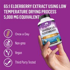 Vitamin C and Zinc boost image for NaturaLife Sambucus Elderberry