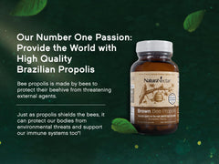 Capsule showing FLAV-B and CAPE active ingredients